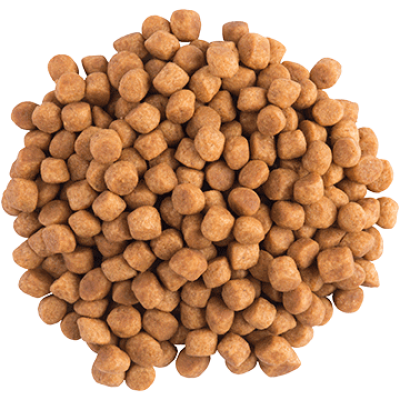 Purina Veterinary Diets EN Gastrointestinal Feline 5 кг сухой корм для кошек при нарушении пищеварения Purina Veterinary Diets EN Gastrointestinal Feline 5 кг сухой корм для кошек при нарушении пищеварения
