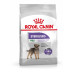 Royal Canin Mini Sterilised 3 кг сухой корм для стерилизованных взрослых собак малых размером от 10 месяцев