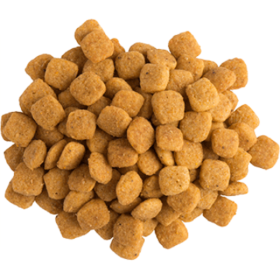 Purina Veterinary Diets NF Renal Function Feline для кошек при заболеваниях почек 350 г Purina Veterinary Diets NF Renal Function Feline для кошек при заболеваниях почек 350 г