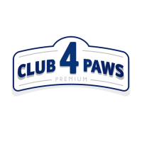 Клуб 4 Лапы