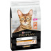 Purina Про План Cat Derma Care Salmon 400 г сухой корм для кошек с лососем для здоровья кожи и шерсти Purina Про План Cat Derma Care Salmon 400 г сухой корм для кошек с лососем для здоровья кожи и шерсти