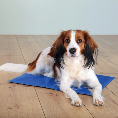 Охолоджувальний килимок для собак та котів Trixie Cooling Mat блакитний, 90х50 см Охолоджувальний килимок для собак та котів Trixie Cooling Mat блакитний, 90х50 см