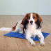 Охолоджувальний килимок для собак та котів Trixie Cooling Mat блакитний, 90х50 см Охолоджувальний килимок для собак та котів Trixie Cooling Mat блакитний, 90х50 см