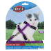 Поводок+шлея Trixie Kitten Harness для кят нейлоновая, 19-31 см, 1.2 м Поводок+шлея Trixie Kitten Harness для кят нейлоновая, 19-31 см, 1.2 м