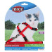 Поводок+шлея Trixie Kitten Harness для кят нейлоновая, 19-31 см, 1.2 м Поводок+шлея Trixie Kitten Harness для кят нейлоновая, 19-31 см, 1.2 м