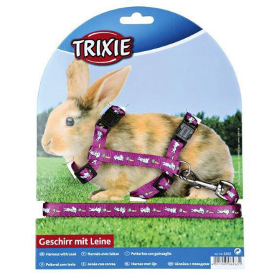 Шлея+поводок Trixie Harness with Leash для грызунов нейлоновый, с рисунком, 25-44 см