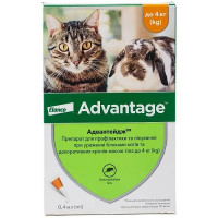 Краплі Elanco (Bayer) Advantage від бліх для кошенят та котів до 4 кг 1 піпетка Краплі Elanco (Bayer) Advantage від бліх для кошенят та котів до 4 кг 1 піпетка
