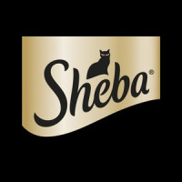 Sheba