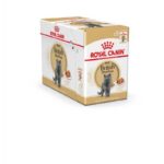 Royal Canin British Shorthair 12х85 г влажный корм для кошек — изображение 2