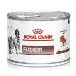 Royal Canin Recovery 12х195 г влажный корм для собак и кошек