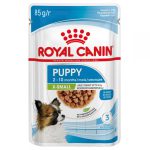 Royal Canin Xsmall Puppy 12х85 г влажный корм для щенков в соусе
