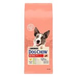 4062762189 dog chow active jpg