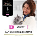 4854397928 purina veterinary diets jpg