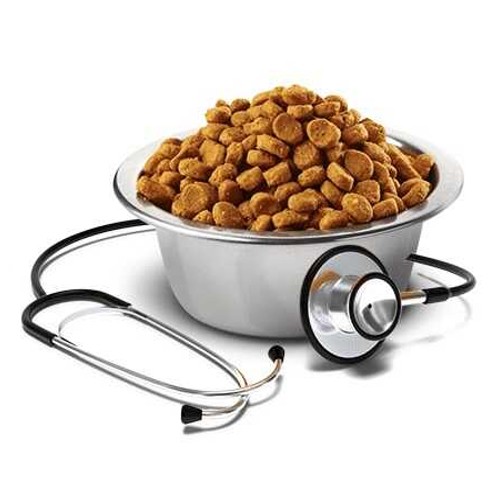 Лечебный корм для собак