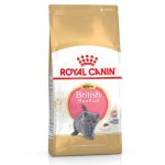 Royal Canin British Shorthair Kitten сухой корм для котят