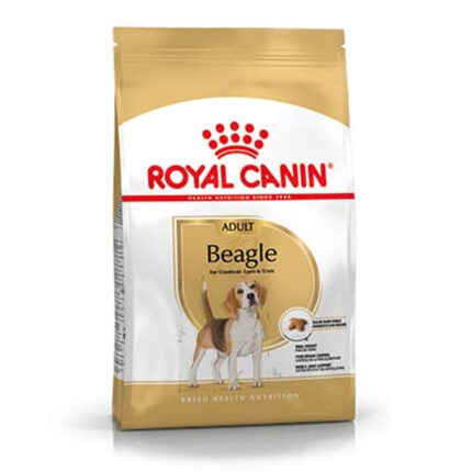 5275844486 royal canin beagle jpg