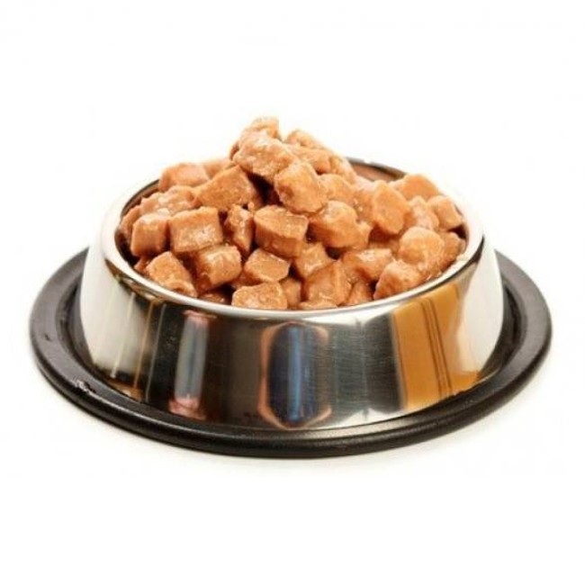 Влажный корм для собак