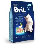 3995110722 brit premium kitten jpg