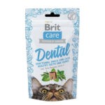 4241530945 brit care dental jpg