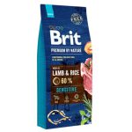 4241717220 brit premium sensitive jpg