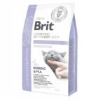 5062175669 brit vd cat jpg