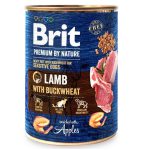 5540866476 brit premium by jpg