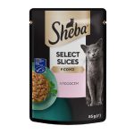 Sheba Slices Salmon