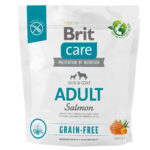 5557063691 brit care dog jpg