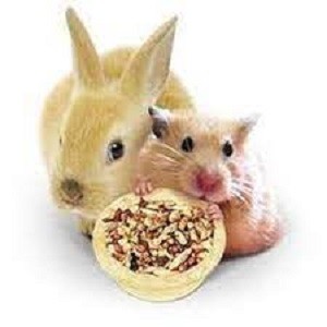 Корм для грызунов