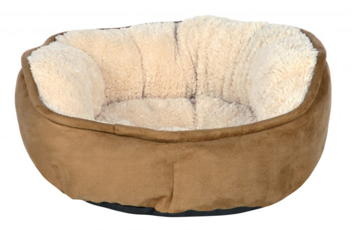 1070311233 lezhak trixie otello jpg