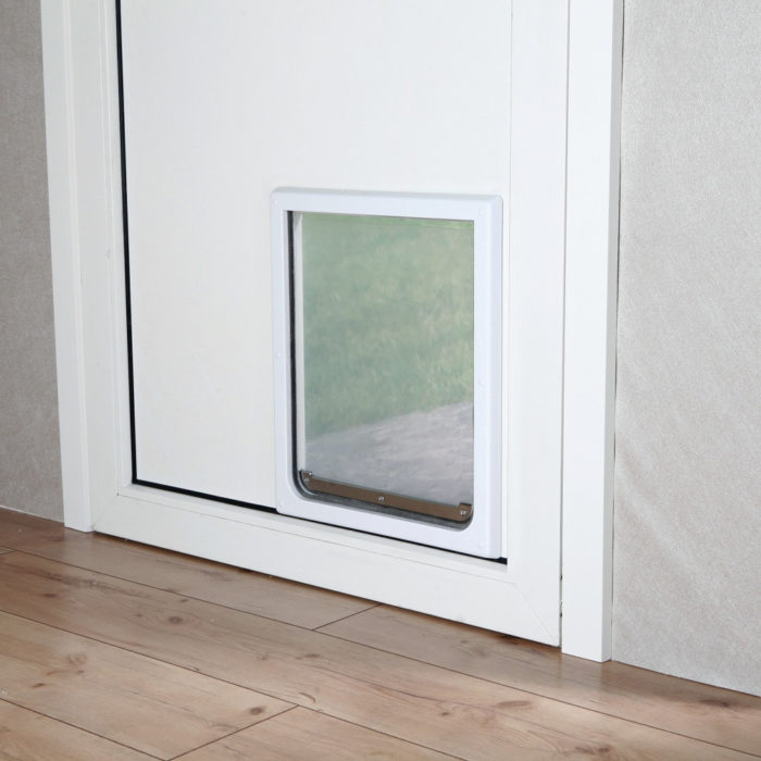 1070327760 dver trixie freedog jpg