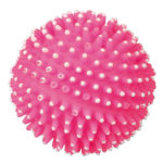 1070357812 myach trixie hedgehog jpg