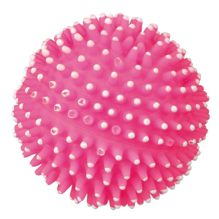 1070357812 myach trixie hedgehog jpg