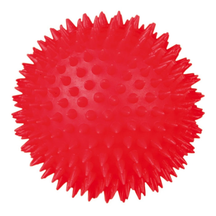 1070360727 myach trixie hedgehog jpg