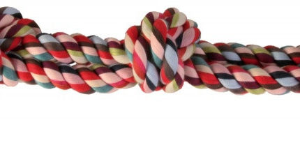 1070369693 kanat trixie playing jpg