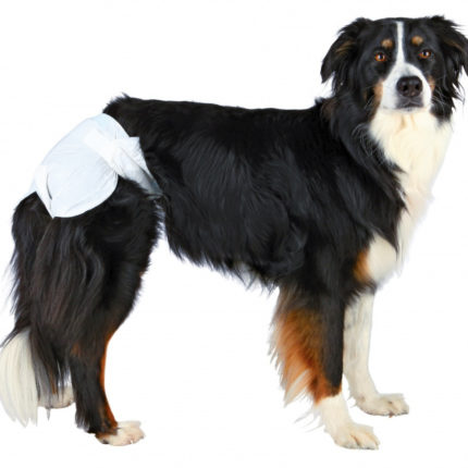 1070414934 pampersy trixie dlya jpg