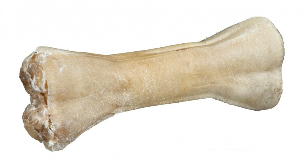 1070418499 kost trixie chewing jpg 1070418499 kost trixie chewing jpg