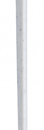 1070425883 nabor trixie dental jpg