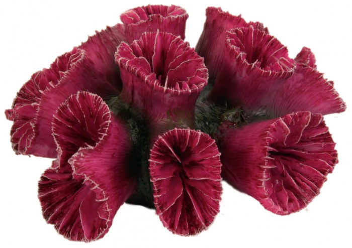 1070439578 dekoratsiya trixie assortment jpg