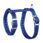 1070446302 povodokshleya trixie cat jpg