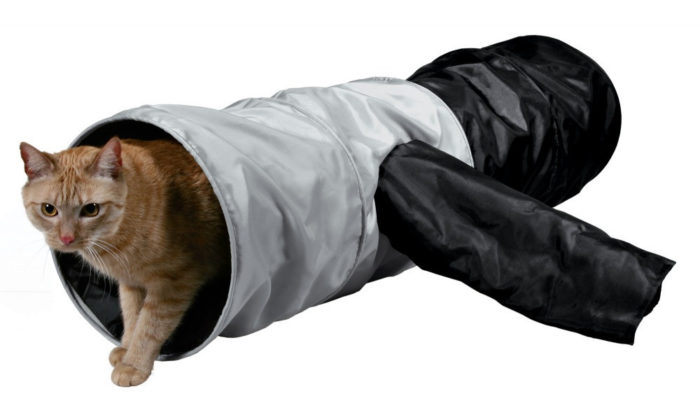 1070448536 tunnel trixie playing jpg