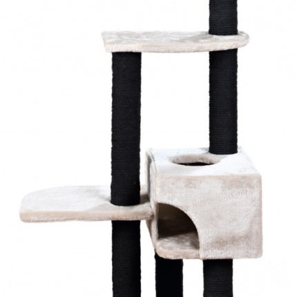 1070449610 kogtetochka trixie nita jpg