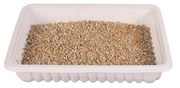 1070458090 trava trixie cat jpg