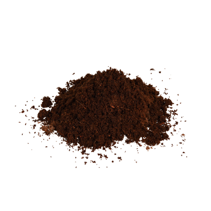 2426982281 napolnitel dlya terrariuma png