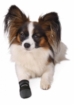 2906889442 botinki trixie walker png