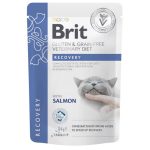 Brit Veterinary Diet Recovery Salmon 85 г влажный корм для кошек в период восстановления после операций