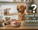 Чим краще годувати собаку